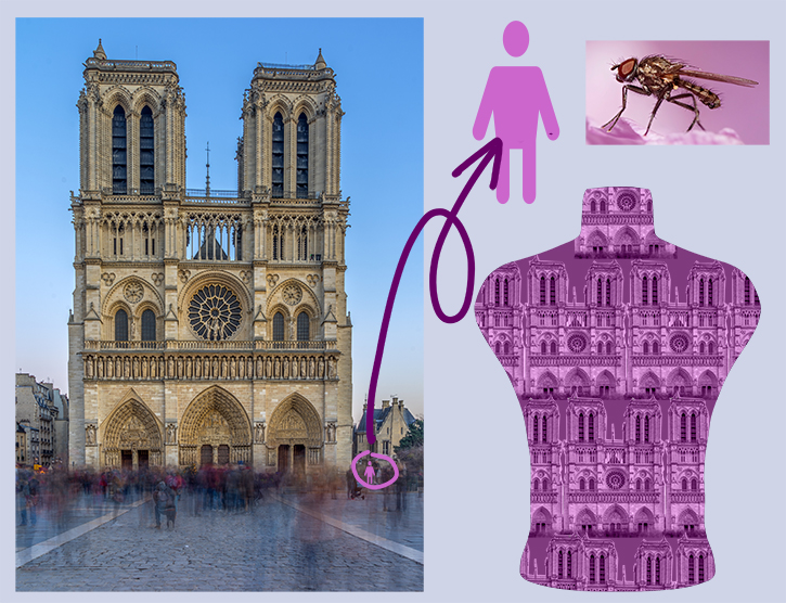 Pretending the Invisible is Visible